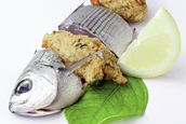 Frittelle di mare
